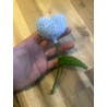 Fleur Petit Coeur