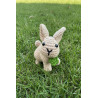 " Lopi " Petit Lapin