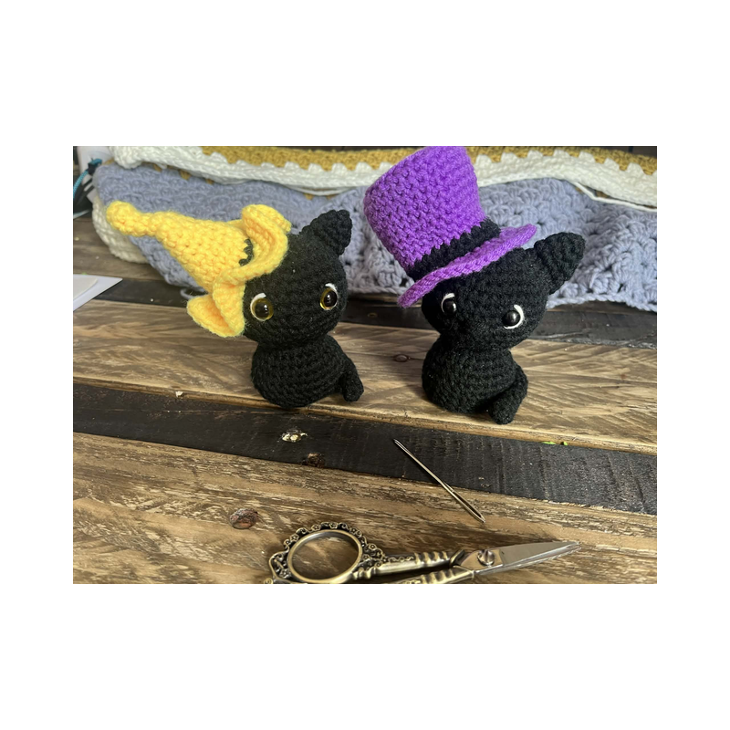 Petit chat noir et son chapeau