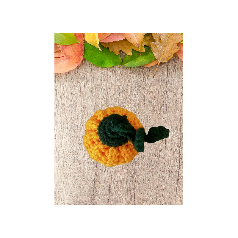 Petite citrouille