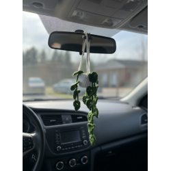 Petite Plante Verte Suspendue