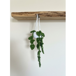 Petite Plante Verte Suspendue
