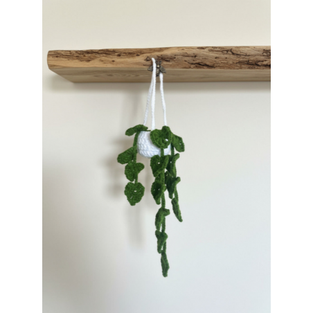 Petite Plante Verte Suspendue