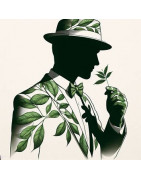 Silhouette Masculine